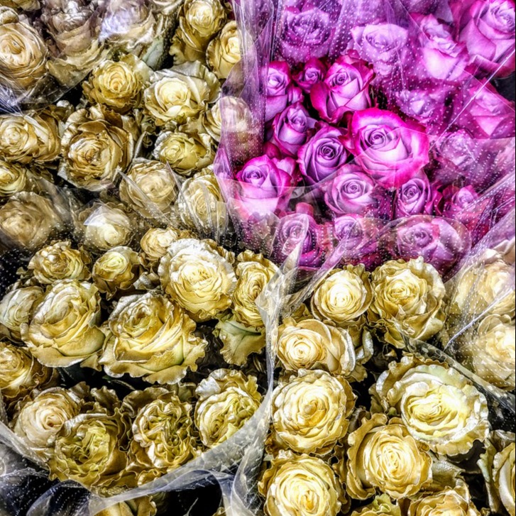 Why Do We Send Gold Roses on New Years